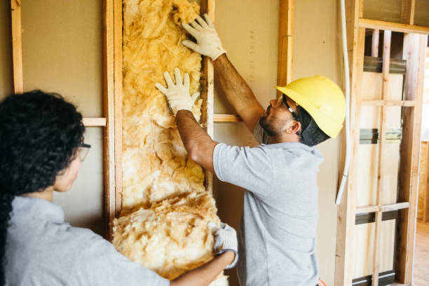 Insulation Contractors for Homes in Piedmont, SC